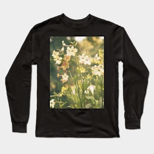 Yellow flowers blooming in a noody garden Long Sleeve T-Shirt